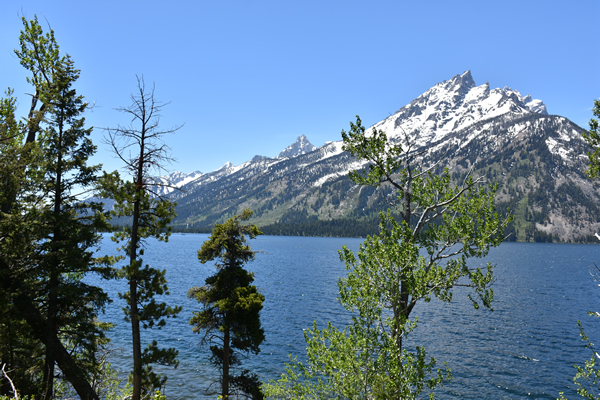 Jenny Lake.