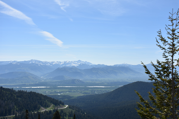 What a view...