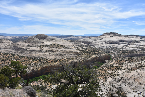 Road to Bryce.