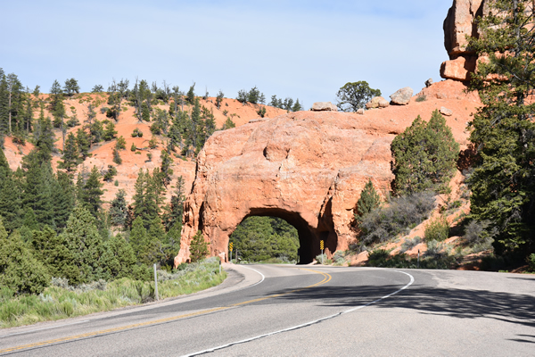 Red Canyone Arch.