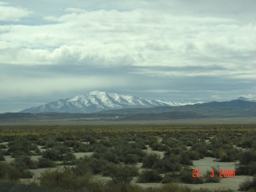 grey's peak, nevada